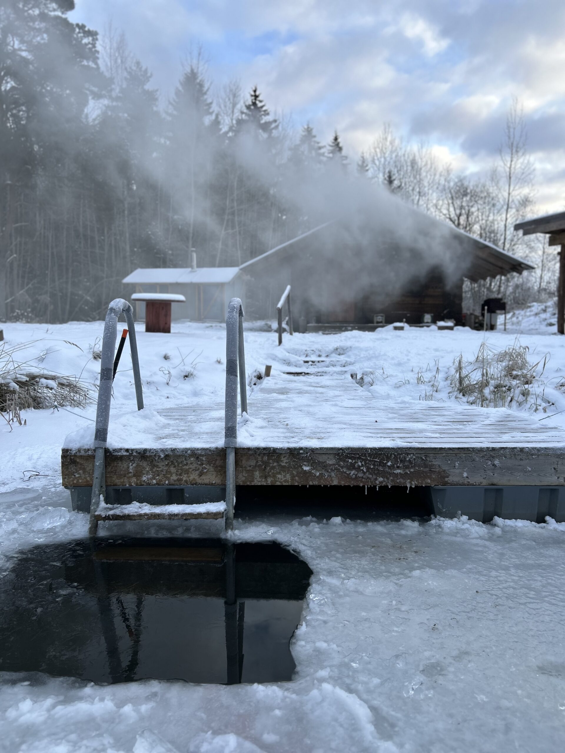 Smoke Sauna at Jantsu farm